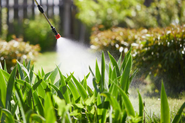 24/7 Emergency Mosquito Control experts in Pilot Point, TX