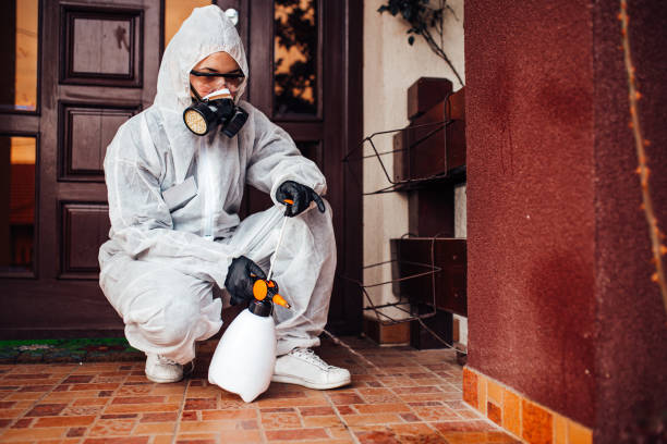 Reliable Mosquito Control contractor in Pilot Point, TX by Show Me Pest Control